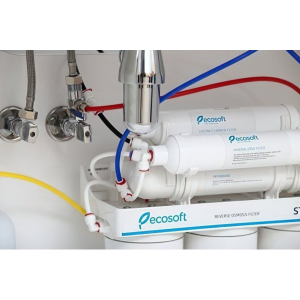 Фільтр зворотного осмосу Ecosoft Standard з мінералізатором MO650MECOSTD